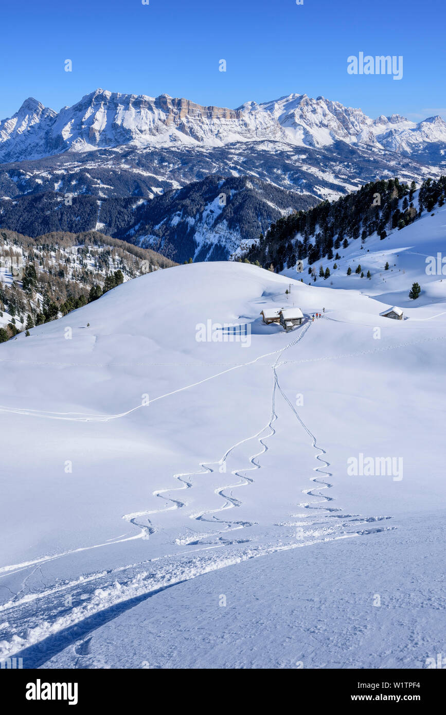 Downhill tracks at Peitlerkofel, Peitlerkofel, Natural Park Puez-Geisler, UNESCO world heritage site Dolomites, Dolomites, South Tyrol, Italy Stock Photo
