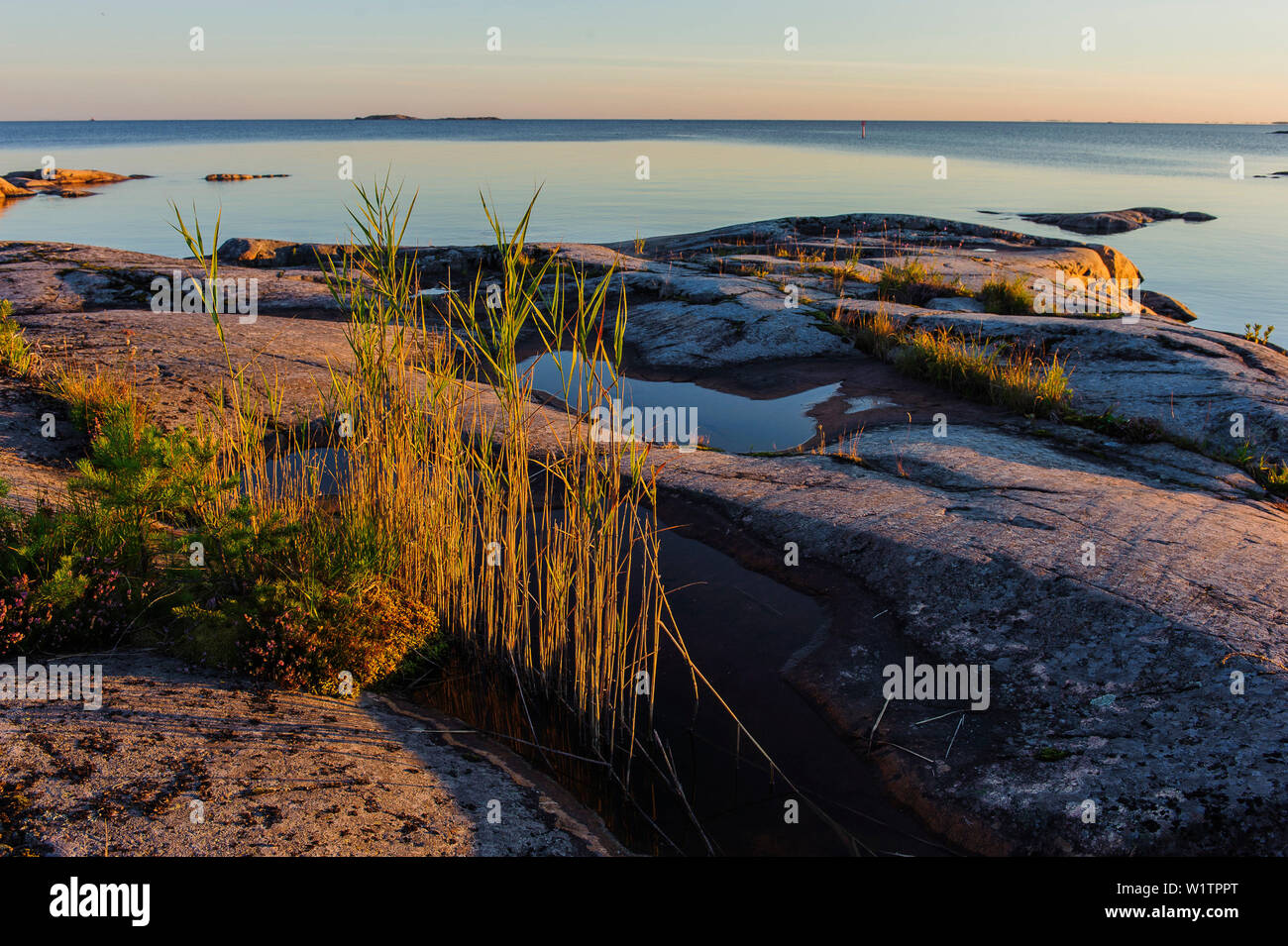 Sunrise landscape Kallandsö at lake Vättern, Sweden Stock Photo - Alamy