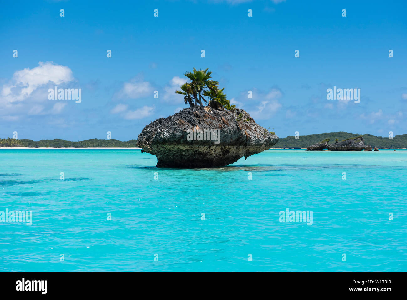 A tiny mushroom-shaped island crowned by several palm trees stands among turquoise waters near a large island in the background, Fulaga Island, Lau Gr Stock Photo