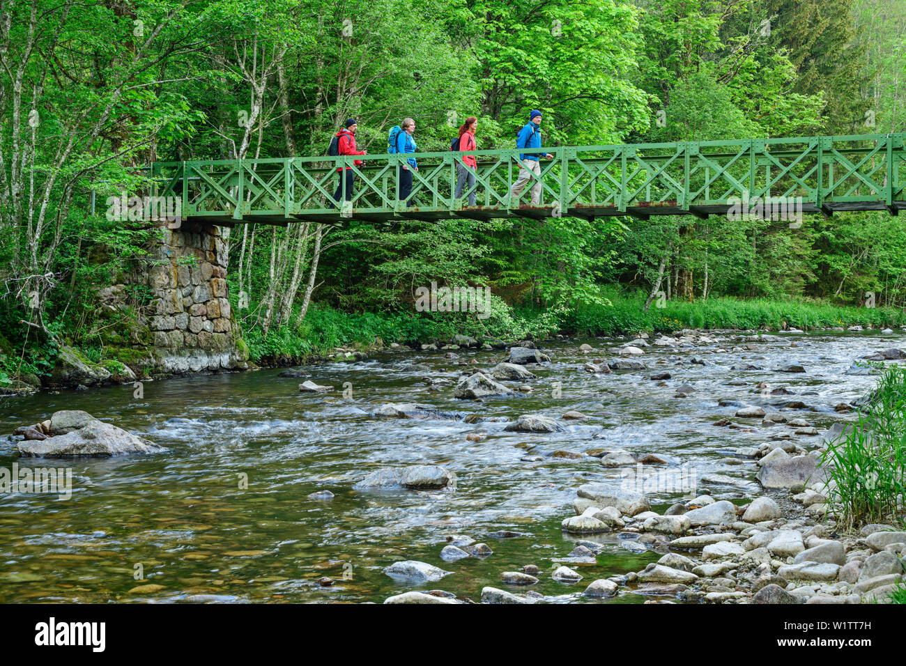 Four persons walking over a bridge over Alb, Albsteig, Black Forest, Baden-Wuerttemberg, Germany Stock Photo