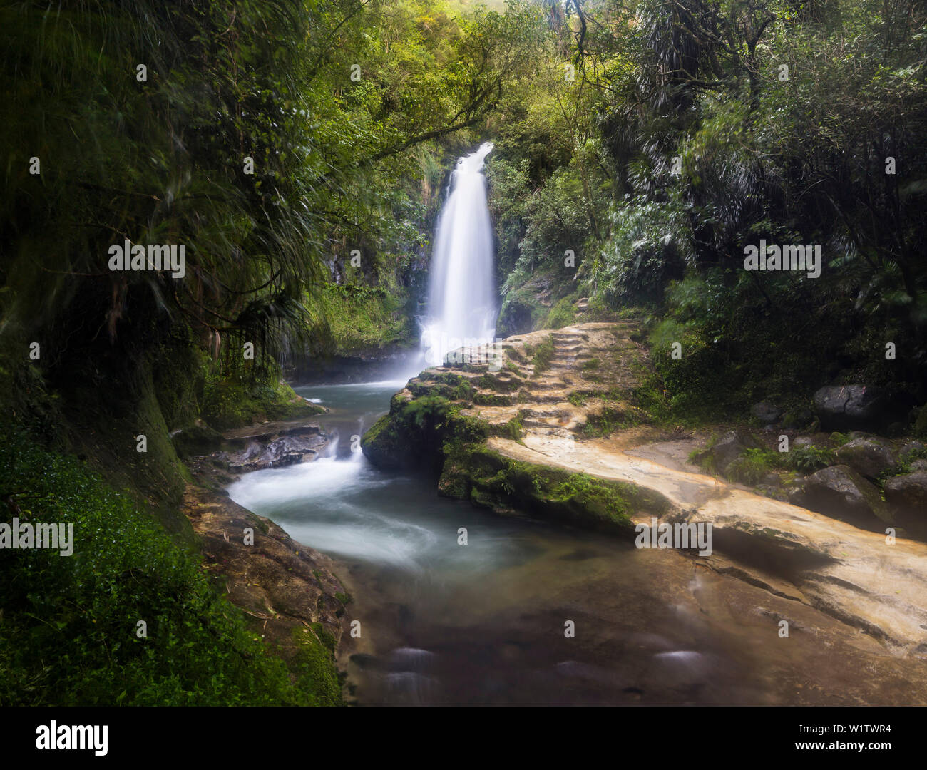 Waterfall, Tauranga, Bay of Plenty, North Island, New Zealand, Oceania Stock Photo