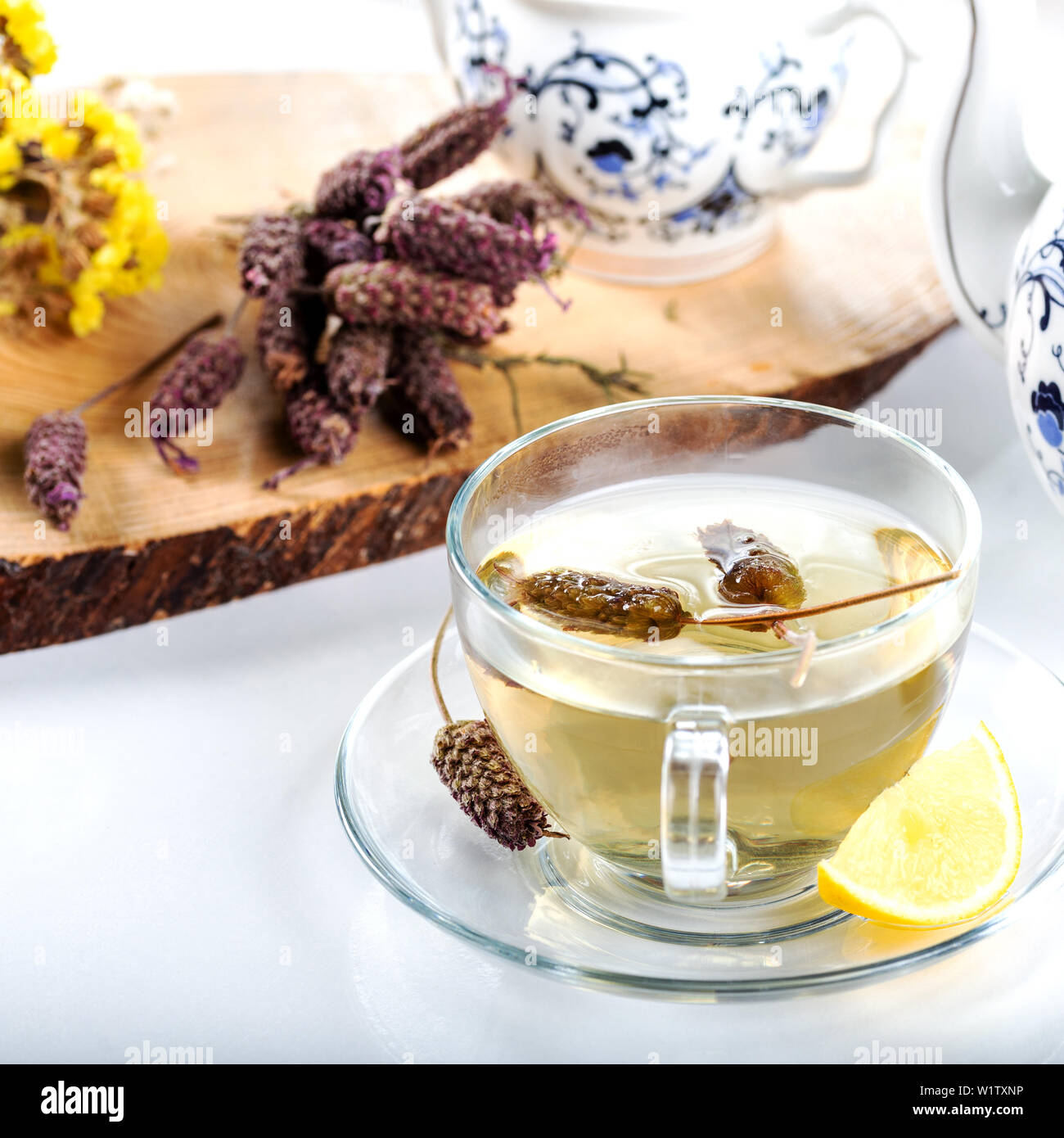 Cup of Lavandula stoechas tea (lavender tea) and herbs with lemon on
