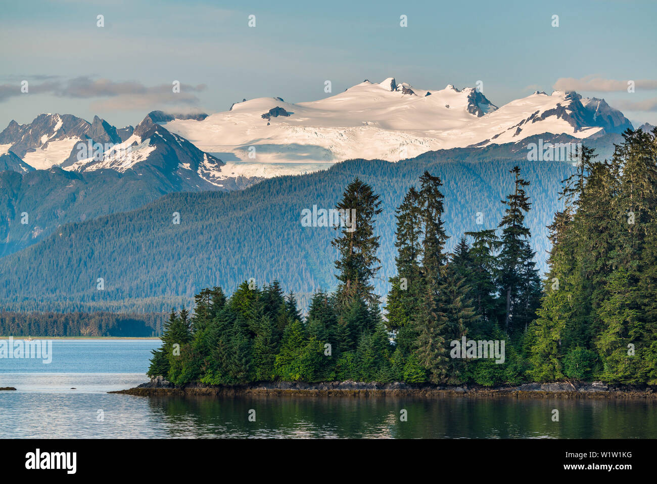 Forrest island hi-res stock photography and images - Alamy