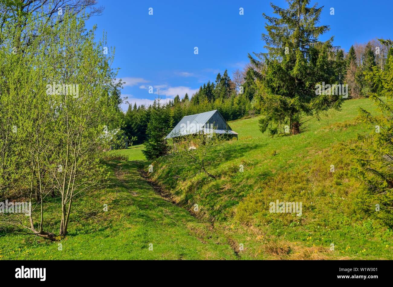 Beautiful Rural Spring Landscape Wooden Cabin On A Mountain Trail