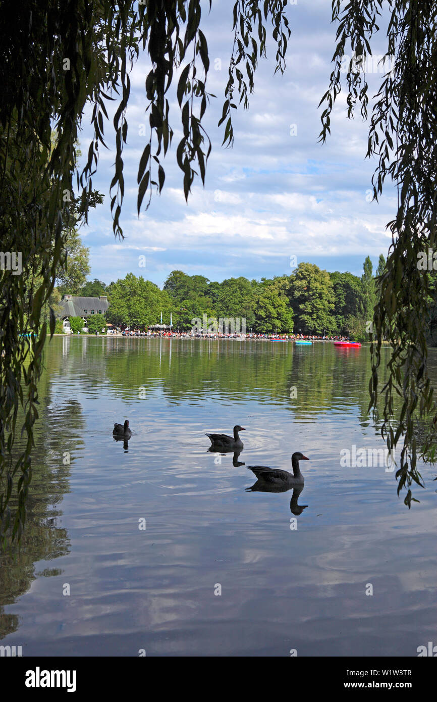 Lake Kleinhesseloher See English Garden Englischer Garten