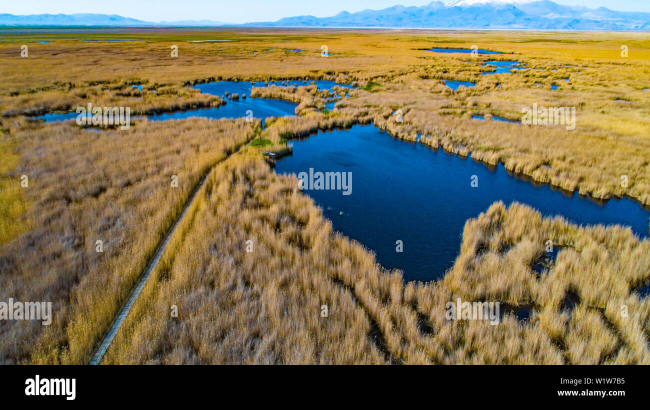 Marshes and Reeds wetland from top view aerial drone photo shoot. This is Sultan Sazligi national park in Develi Valley Kayseri Turkey. Stock Photo