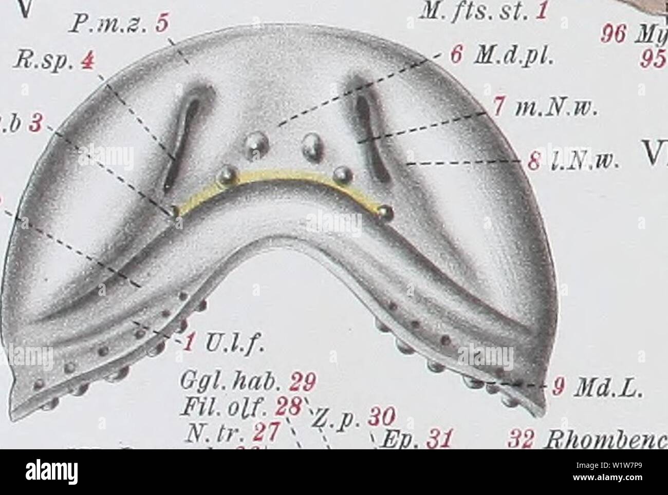 36 N A L B N A High Resolution Stock Photography And Images Alamy
