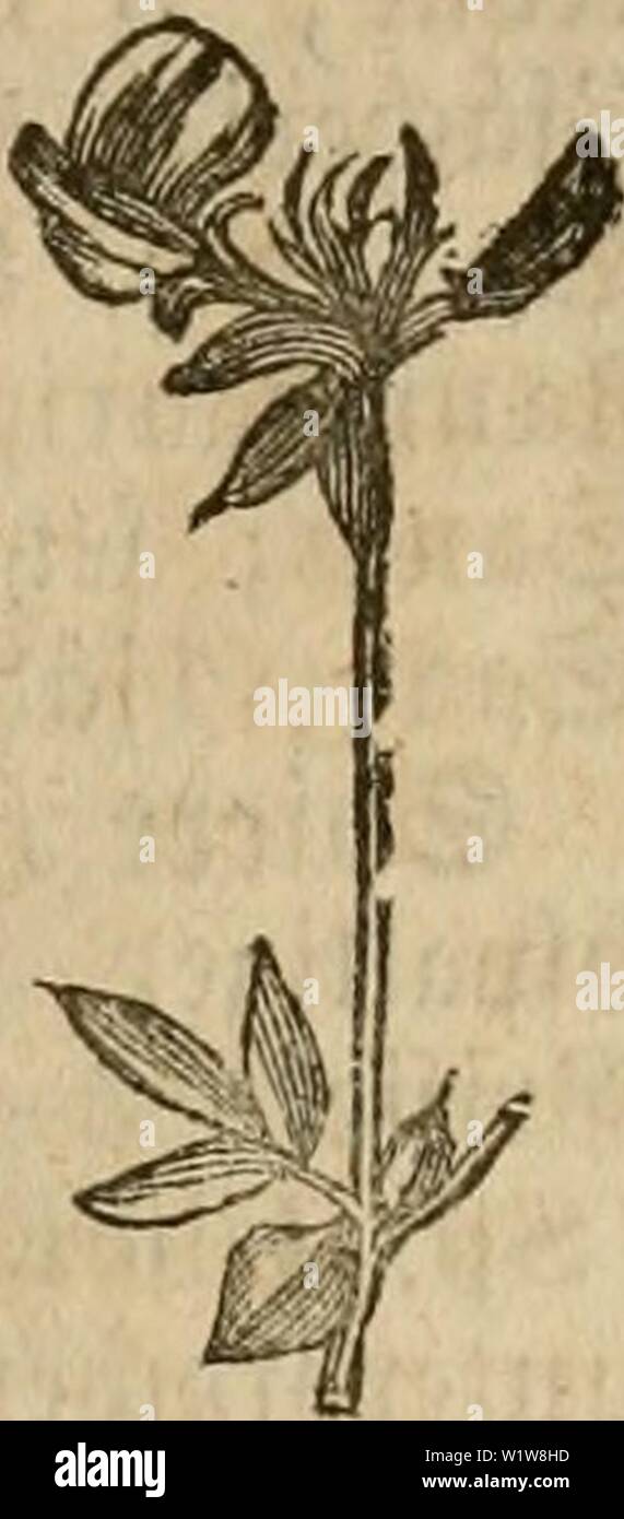 L Nid High Resolution Stock Photography And Images Alamy L Nid High Resolution Stock Photography And Images Alamy