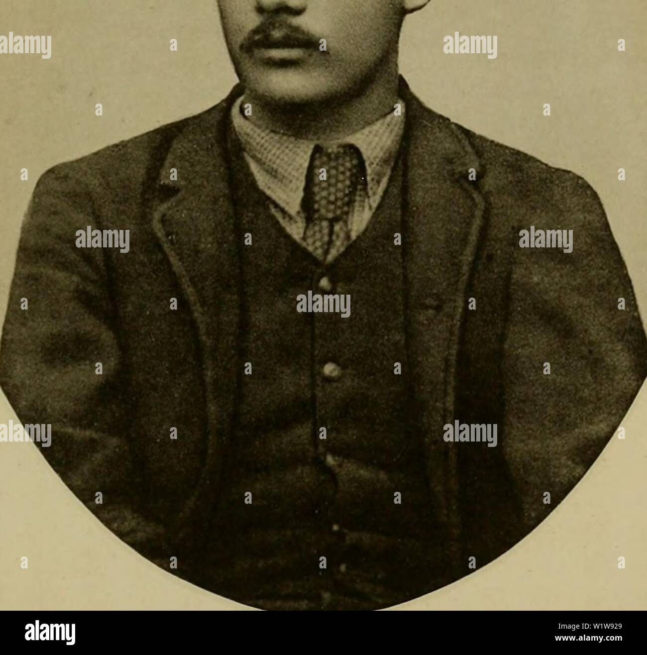 Archive image from page 620 of Dbutsugaku zasshi (1889) Stock Photo