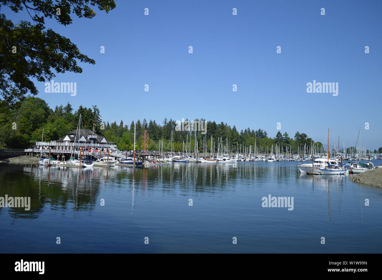 Stanley Park, Coal Harbor and Vancouver, BC, Canada Stock Photo