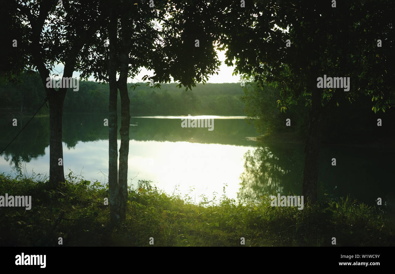 Backlit trees and tranquility scene background Stock Photo