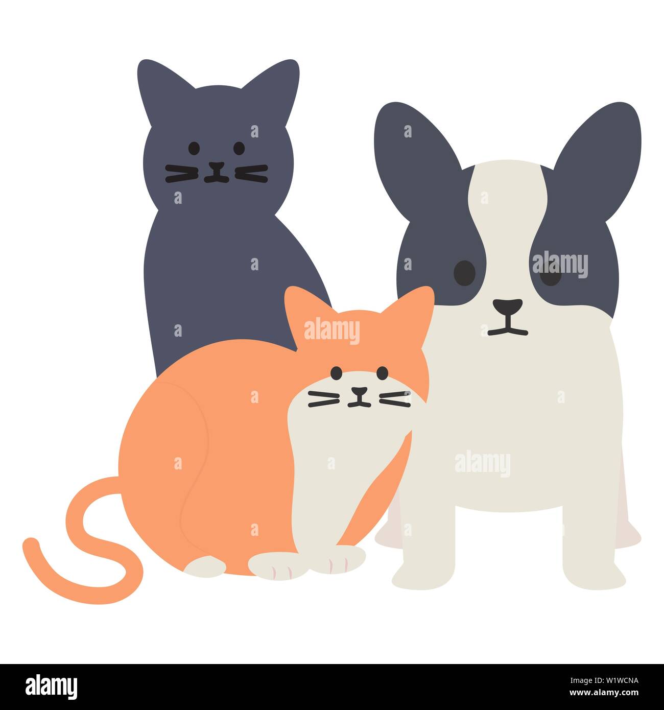 cute cats and dog mascots adorables characters vector illustration