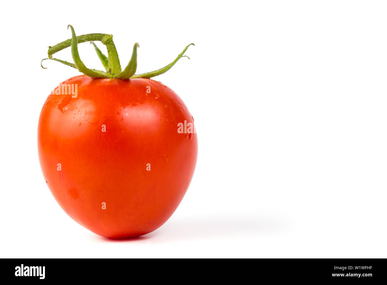 fresh tomato on white background Stock Photo - Alamy