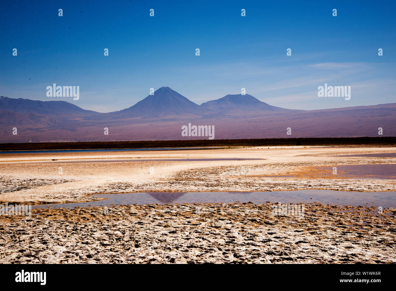 Chaxa Lagoon and the Lincancabur Volcano in the distance, Atacama Desert, Chile Stock Photo