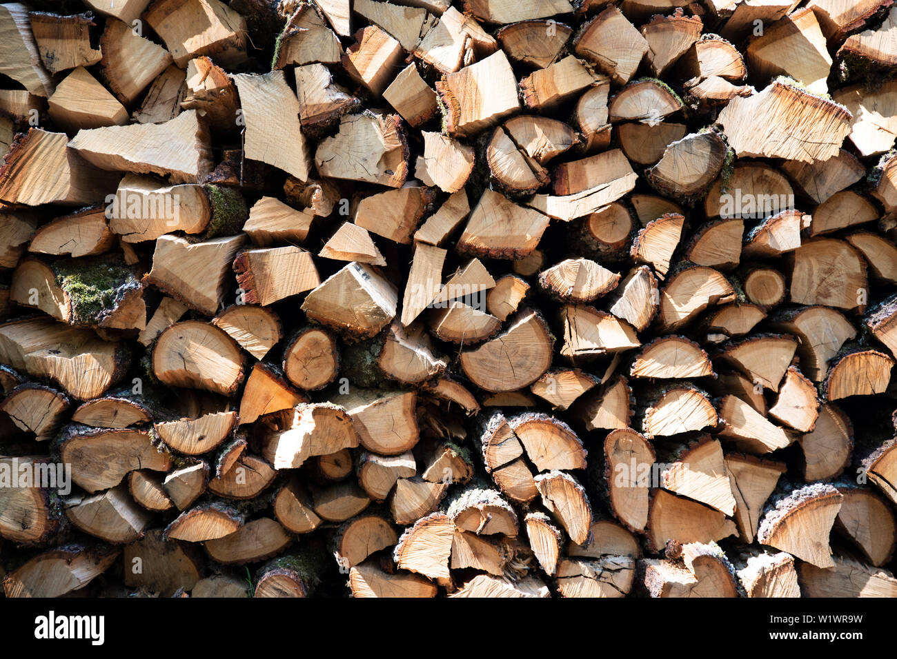 Wood pile timber stack hi-res stock photography and images - Alamy