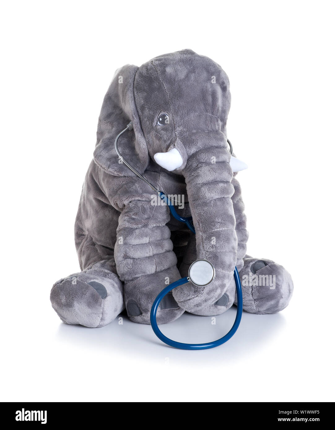 cute fluffy elephant doll with stethoscope as a doctor isolated over