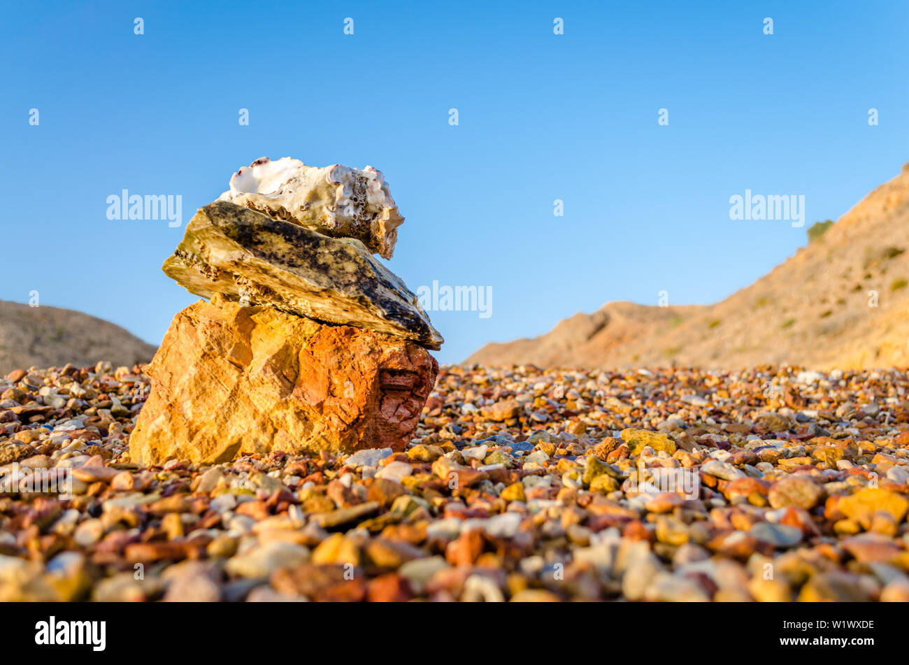 Stones, pebbles & seashells stuck on stone near the beach with clear blue sky. Low angle view from Muscat, Oman. Stock Photo