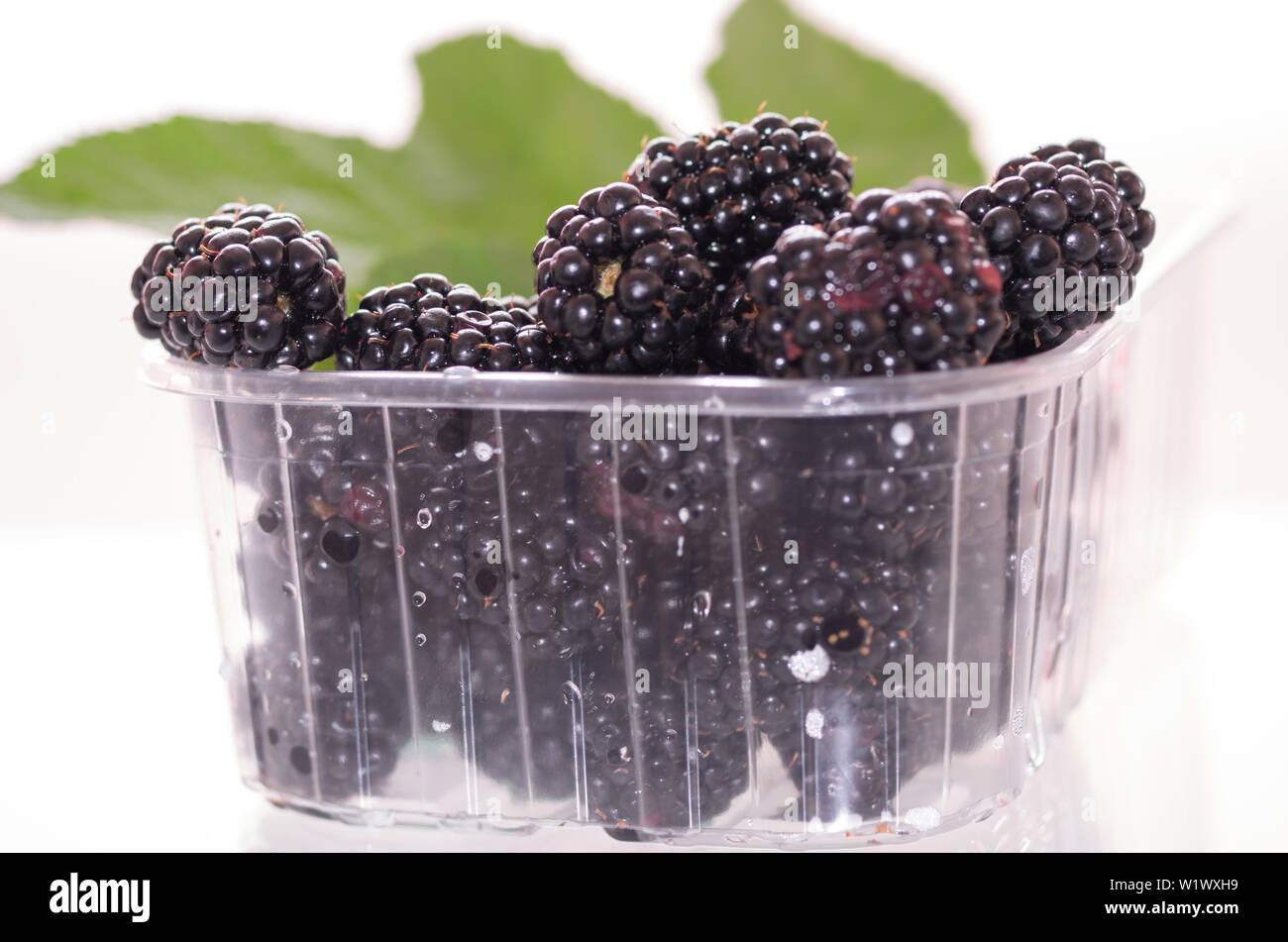 Blackberries in plastic dishes. Blackberry in a transparent container
