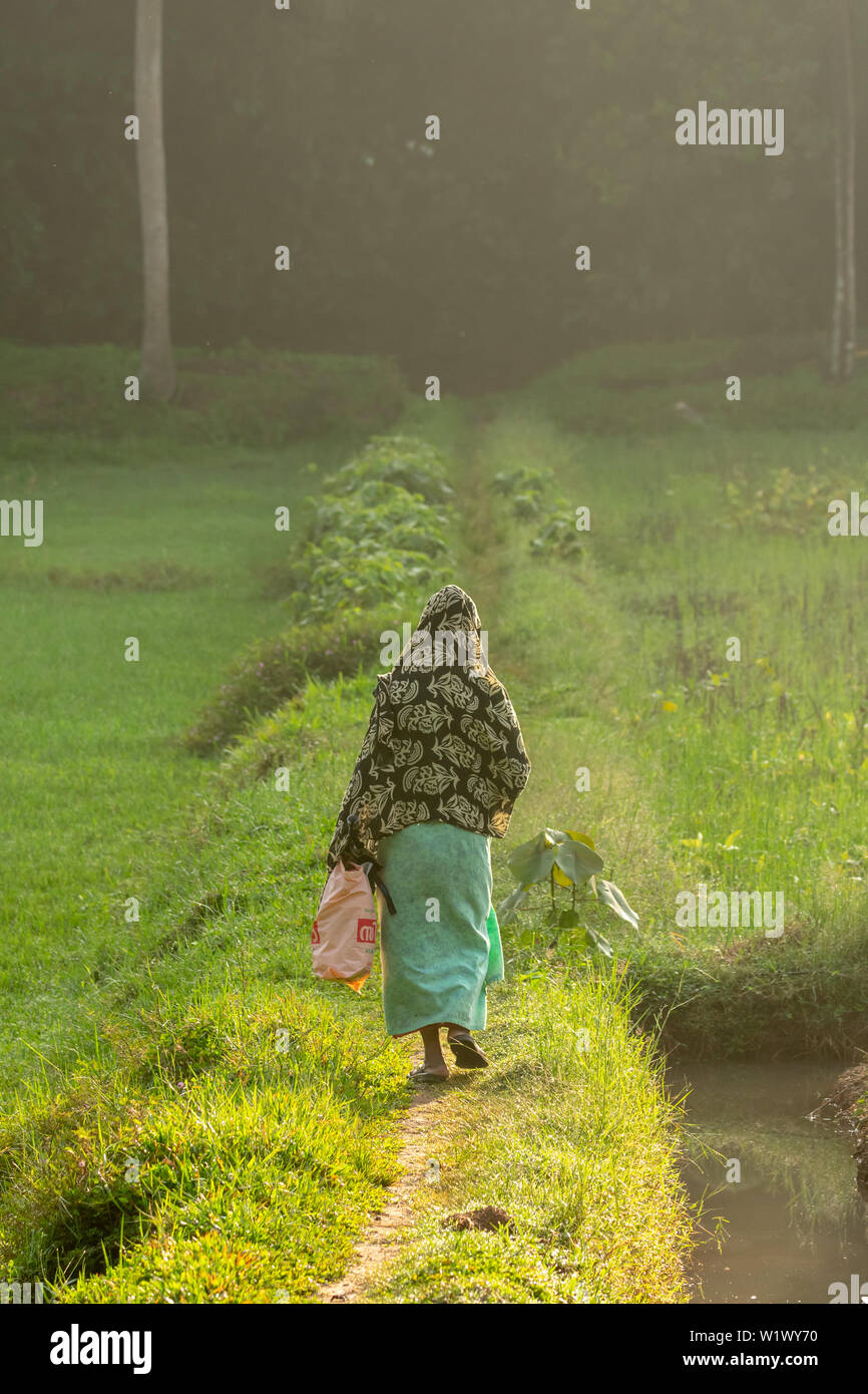 To earn livelihood hi-res stock photography and images - Alamy To earn livelihood hi-res stock photography and images - Alamy