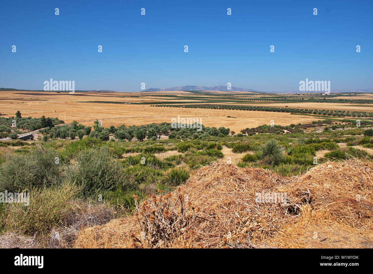 Scenic view of arid landscape near Volubilis in Morocco Stock Photo