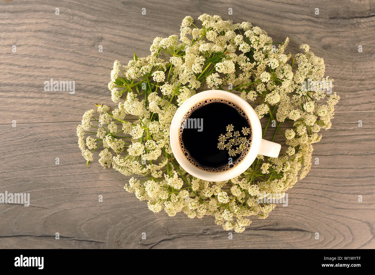 Flat lay shot of coffee in white cup surrounded by white flowers. Cowparsley and hot beverage on wooden table. Horizontal photo. Stock Photo
