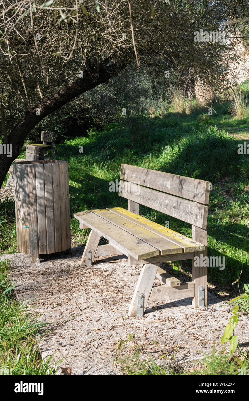 Rustic wooden bench in a park with green grass in summer - Vertical ...