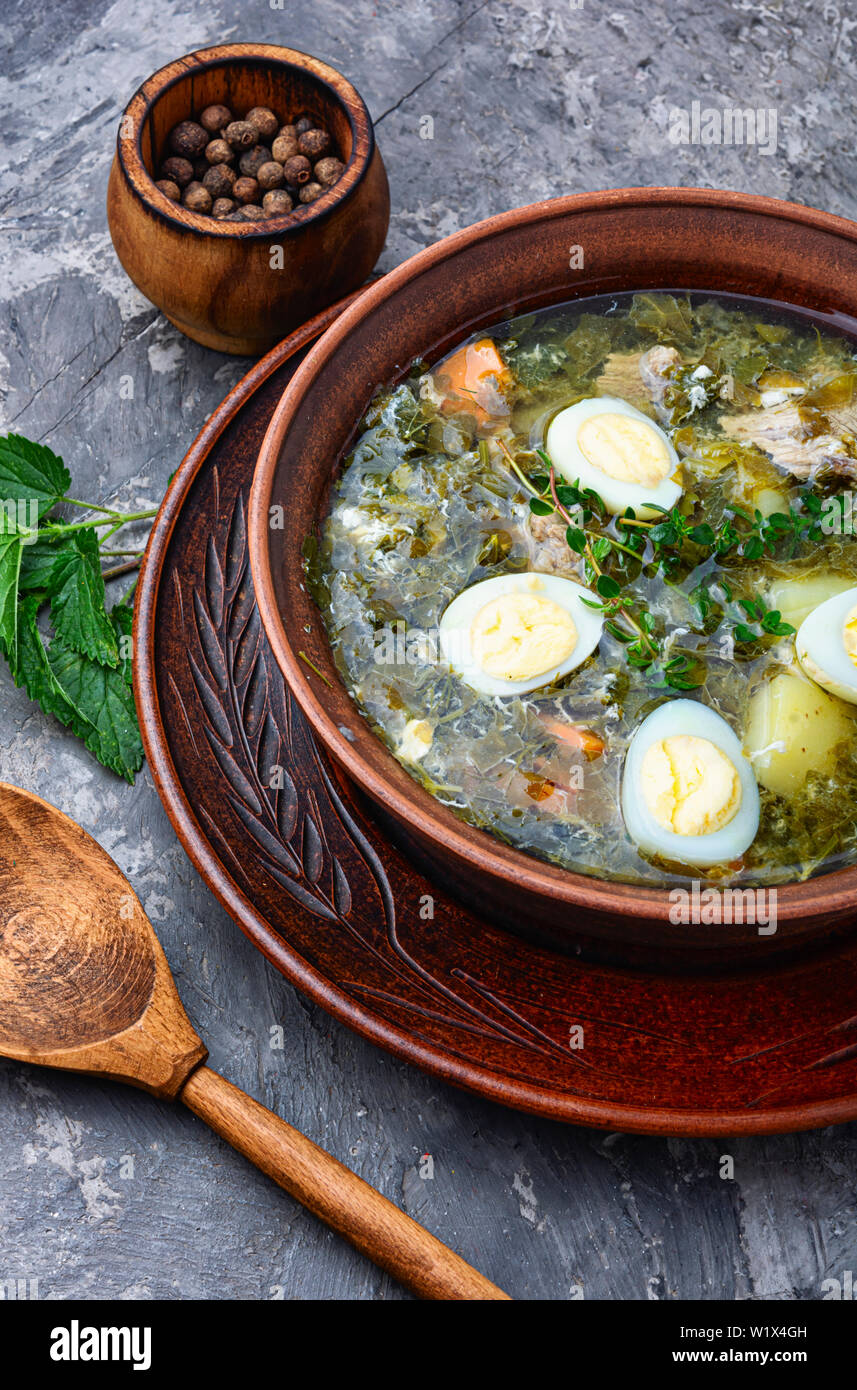 Ukrainian Green Borsch Borsch With Sorrel And Nettles Ukrainian Cuisine Diet Sorrel Soup With Egg Healthy Soup Stock Photo Alamy Ukrainian Green Borsch Borsch With Sorrel And Nettles Ukrainian Cuisine Diet Sorrel Soup With Egg Healthy Soup Stock Photo Alamy