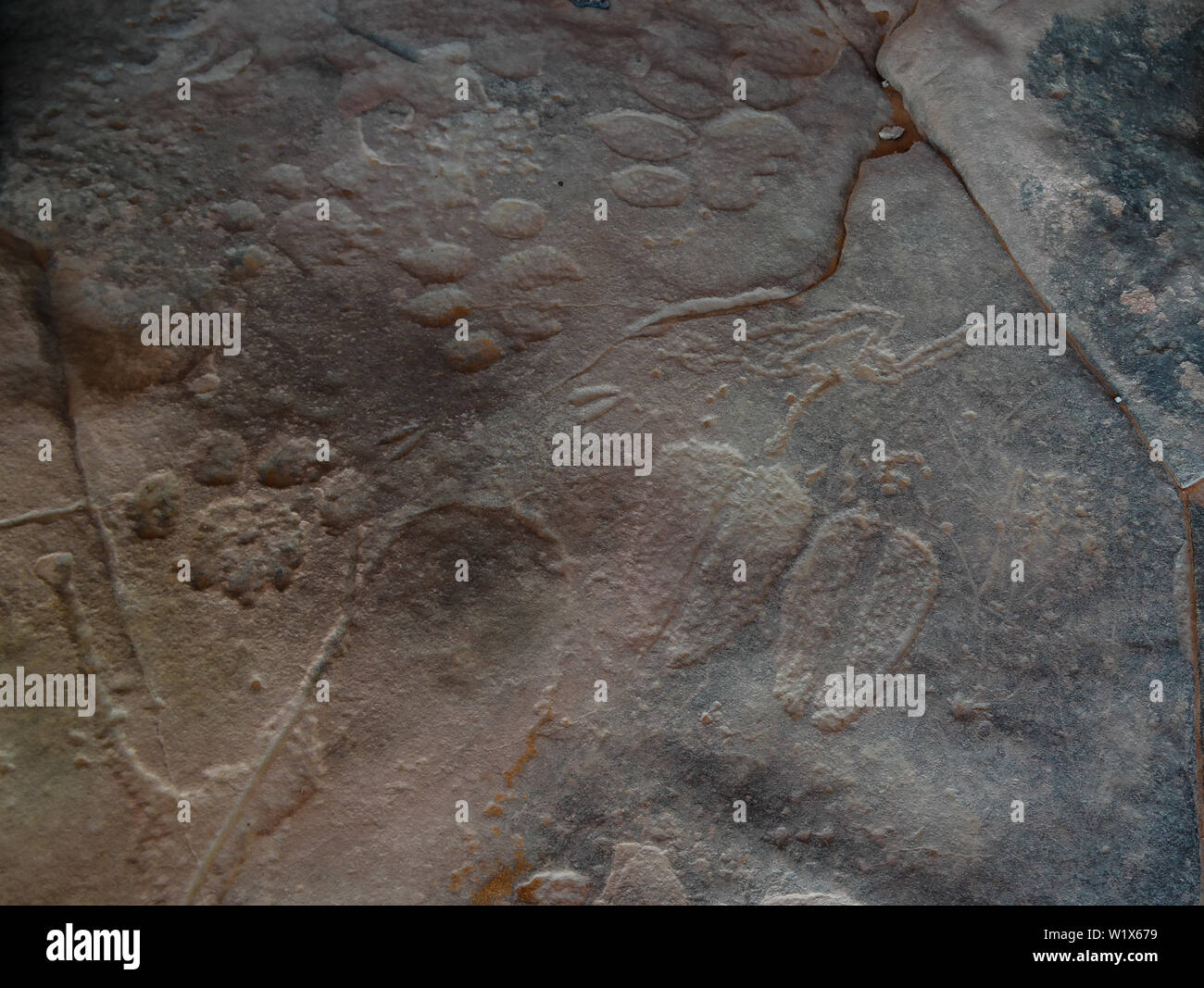 animal tracks and footprint - Cave paintings and petroglyphs at Tamezguida Tassili nAjjer national park, Algeria Stock Photo