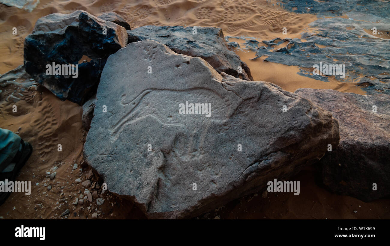 Cow - Cave paintings and petroglyphs at Tamezguida Tassili nAjjer national park, Algeria Stock Photo