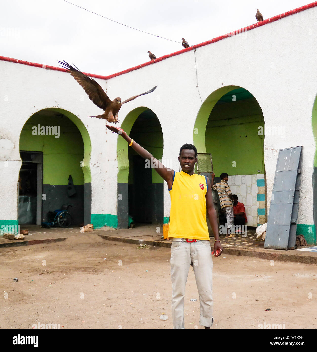 Kites feeding, national entertainment - 12 January 2016 Harar in Ethiopia Stock Photo