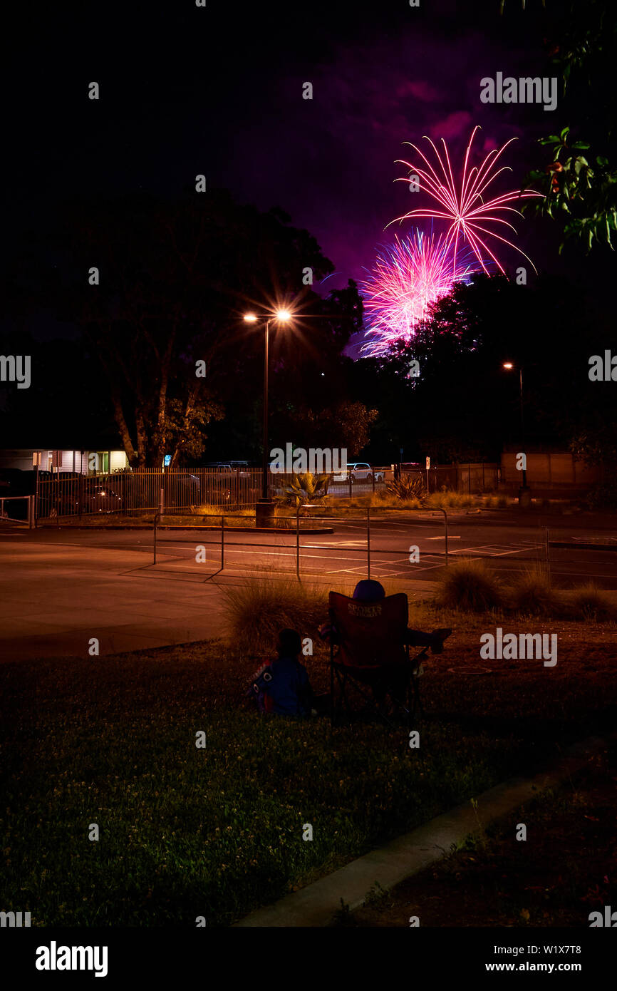 Fireworks burst above trees and two kids look on during celebrations of
