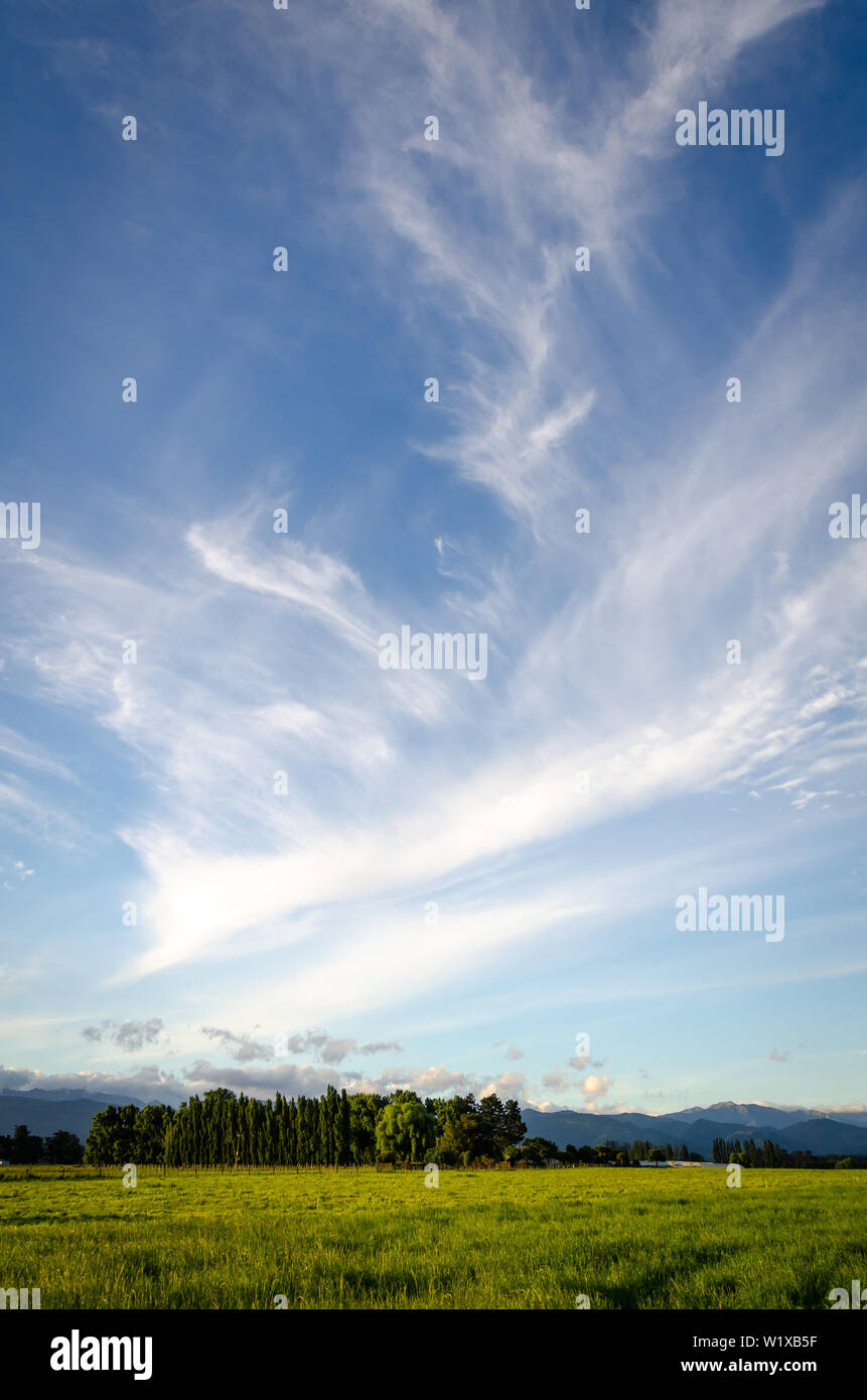 New zealand shape hi res stock photography and images Alamy New zealand shape hi res stock photography and images Alamy