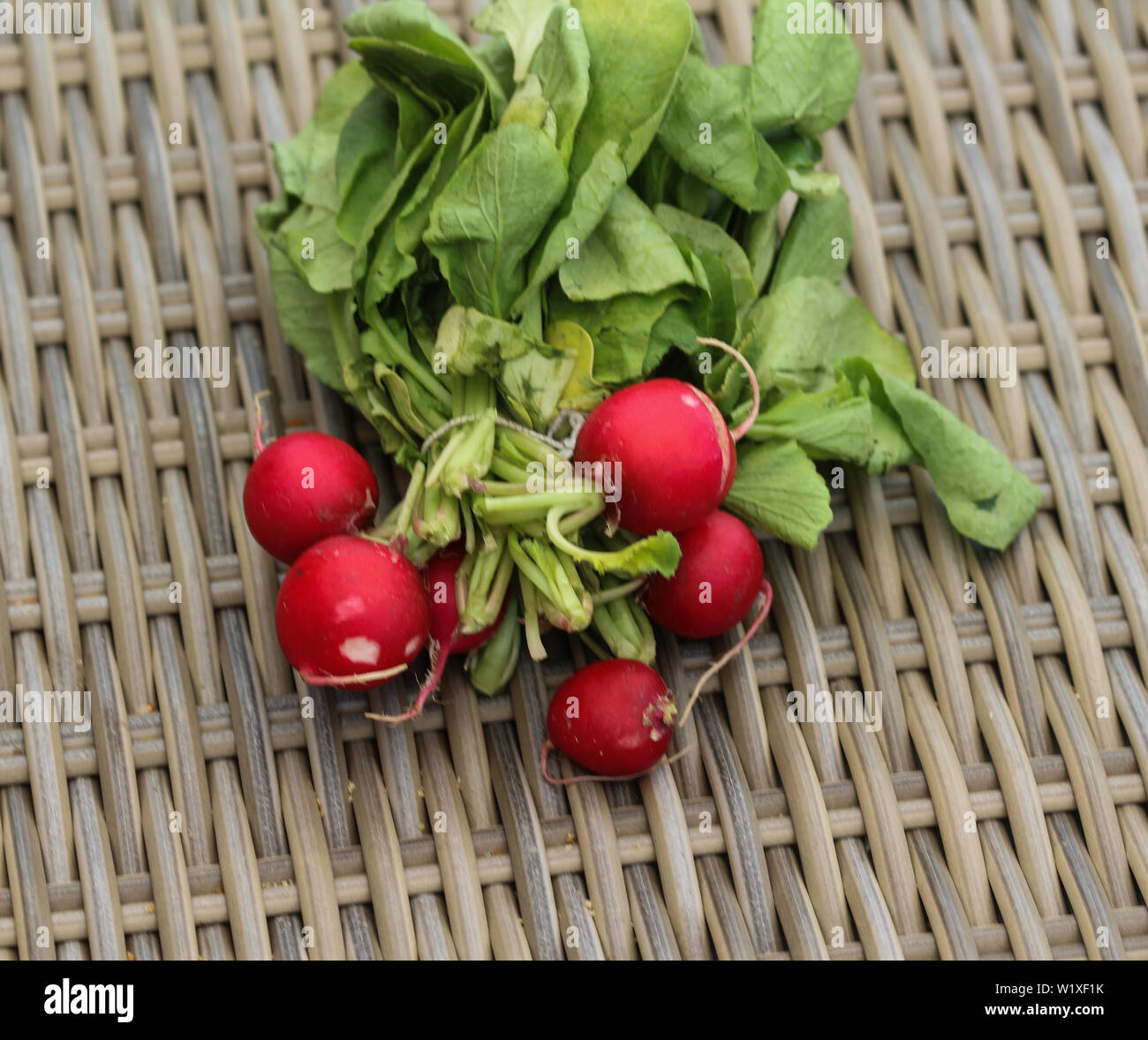 close up of Bush of radish on wooden table background Stock Photo