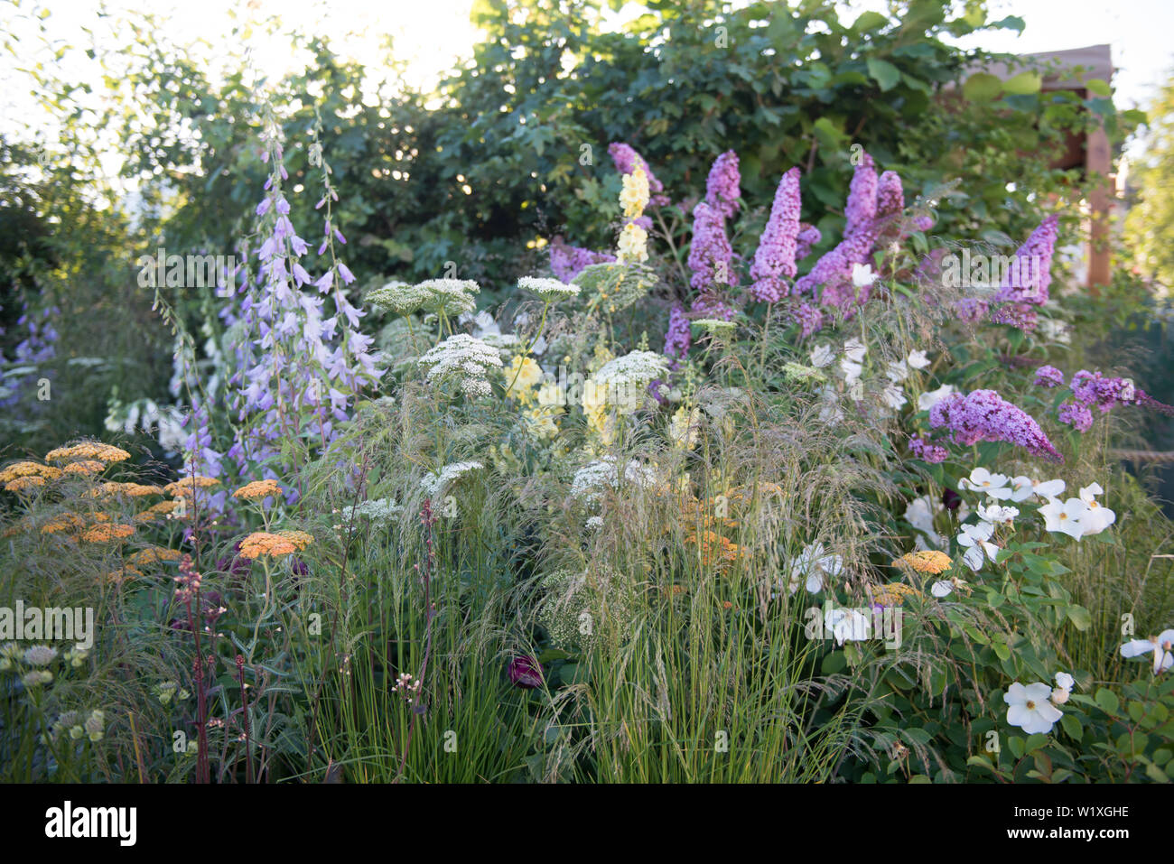 The Urban Pollinator Garden Fuses Design Function And Wildlife