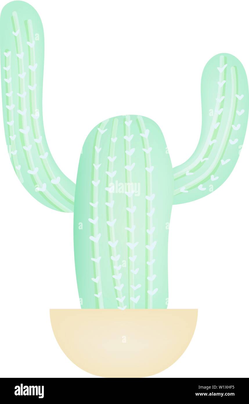 Green cactus in pot isolated on white backgound. Vector illustration ...