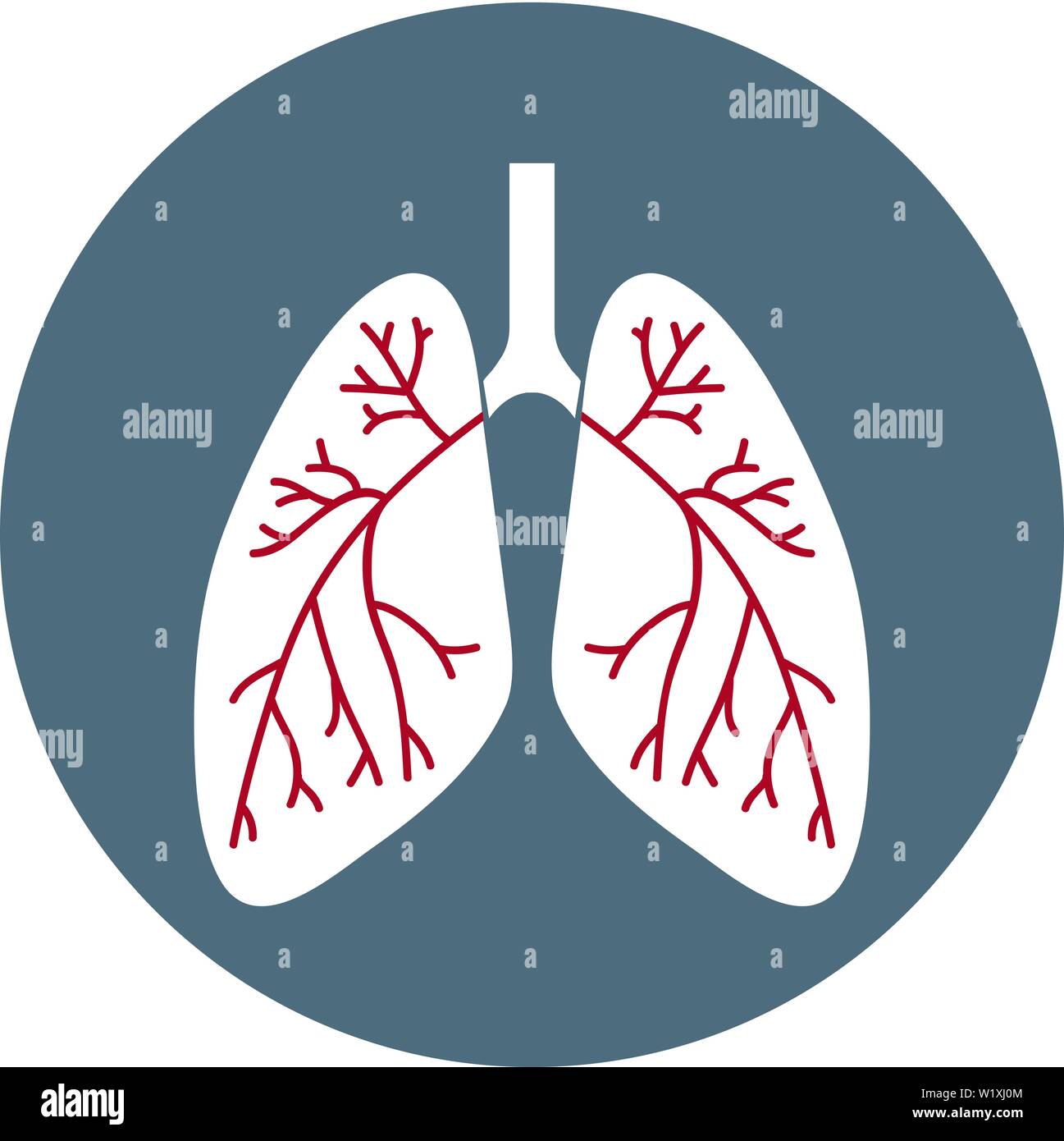 Vector Lungs Icon. Health Care Symbol isolated on white background ...