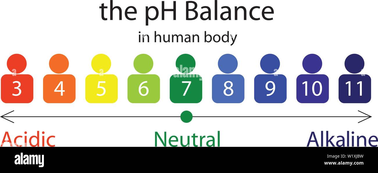 Body Ph Chart