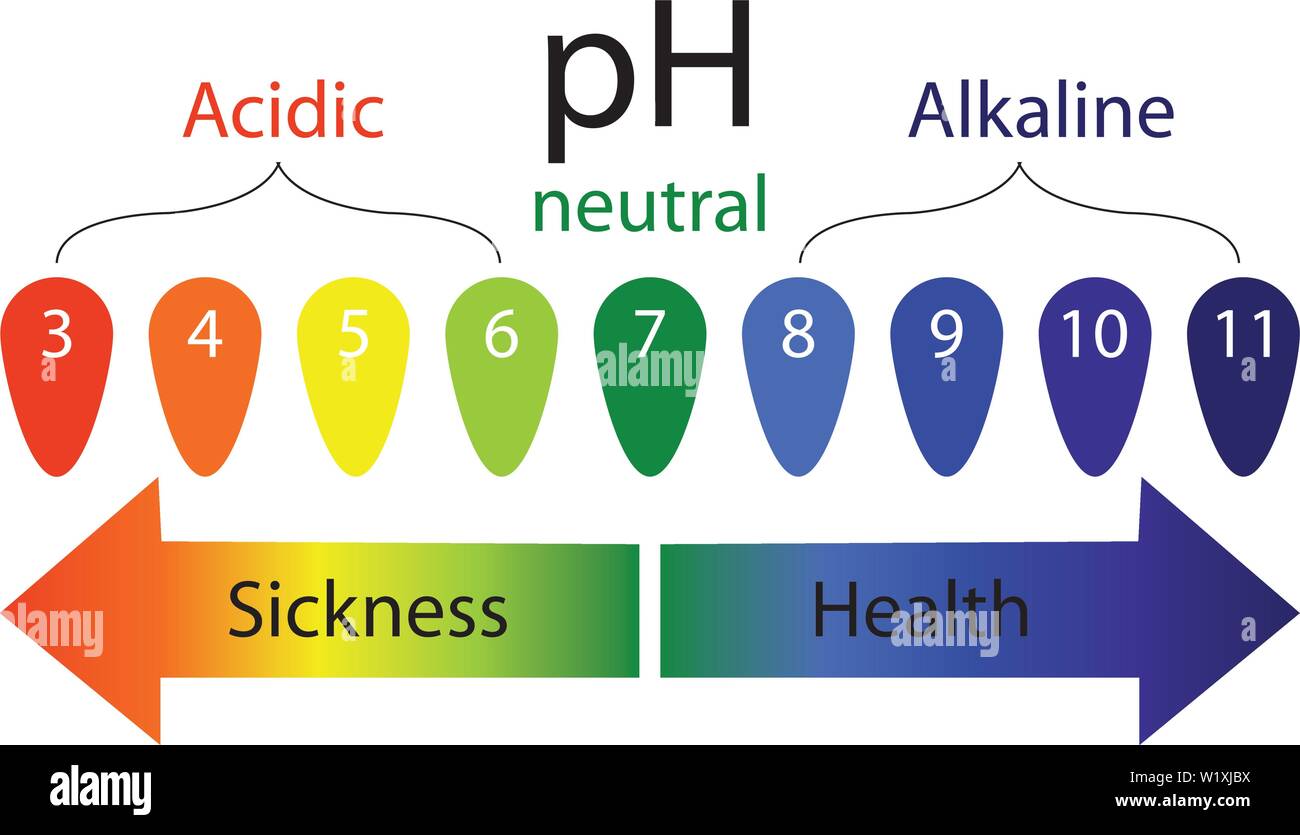 pH level scale showing sickness and health in human body vector  infographics Stock Vector Image & Art - Alamy