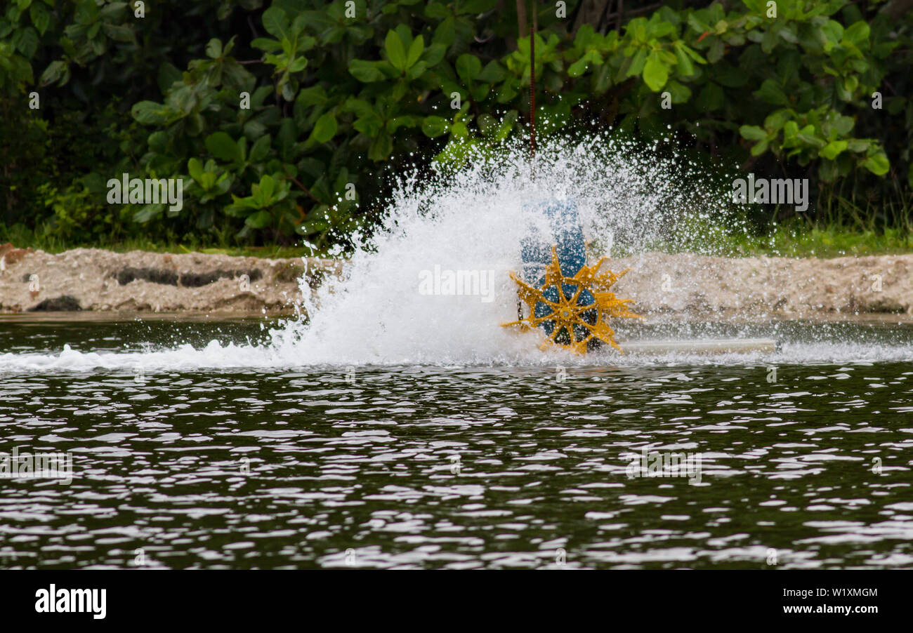 Shrimp fishpond waterwheel aerating the water Stock Photo