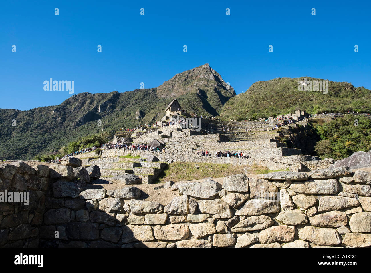 Perù machu picchu ruins hi-res stock photography and images - Alamy