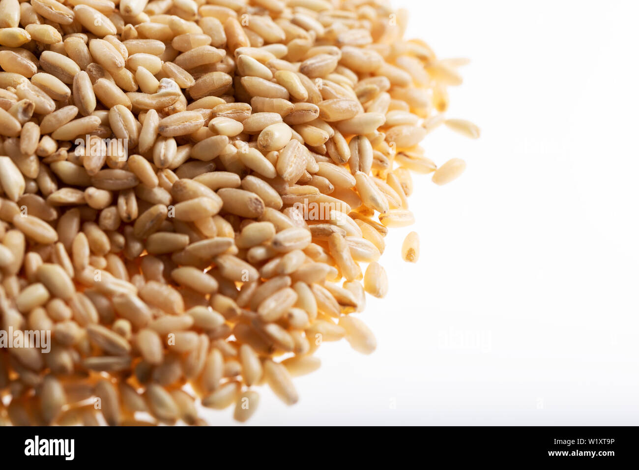 Pile of wheat grain isolated on white background Stock Photo - Alamy