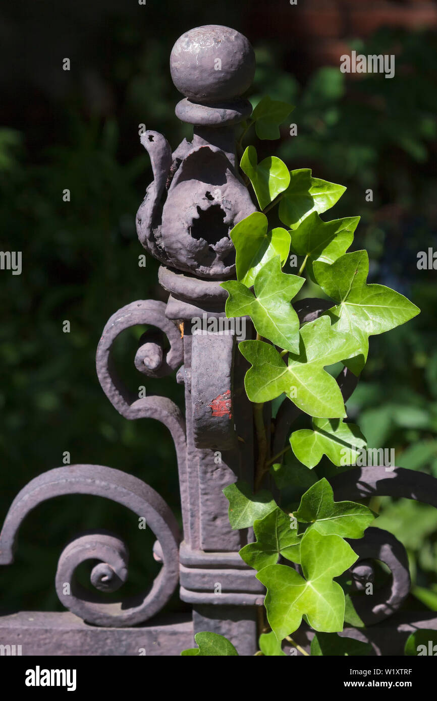 Old rusted metal fence on a graveyard Stock Photo - Alamy