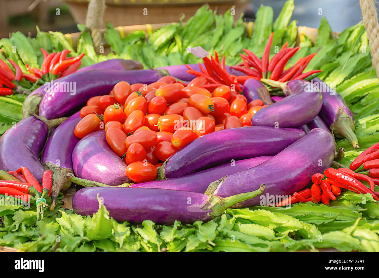 Tomato , eggplant purple , Winged Bean and red chilli The native