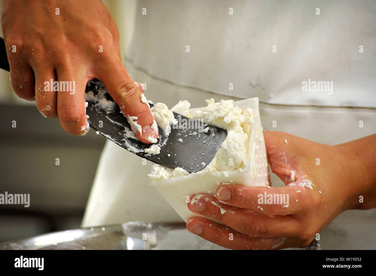 ChatillonsurCher (central France) goat's cheese making at the