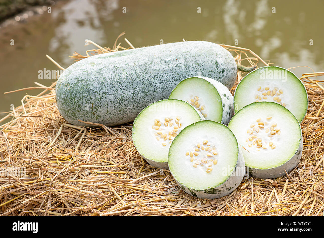 Winter melon is cut into pieces on the straw. Stock Photo