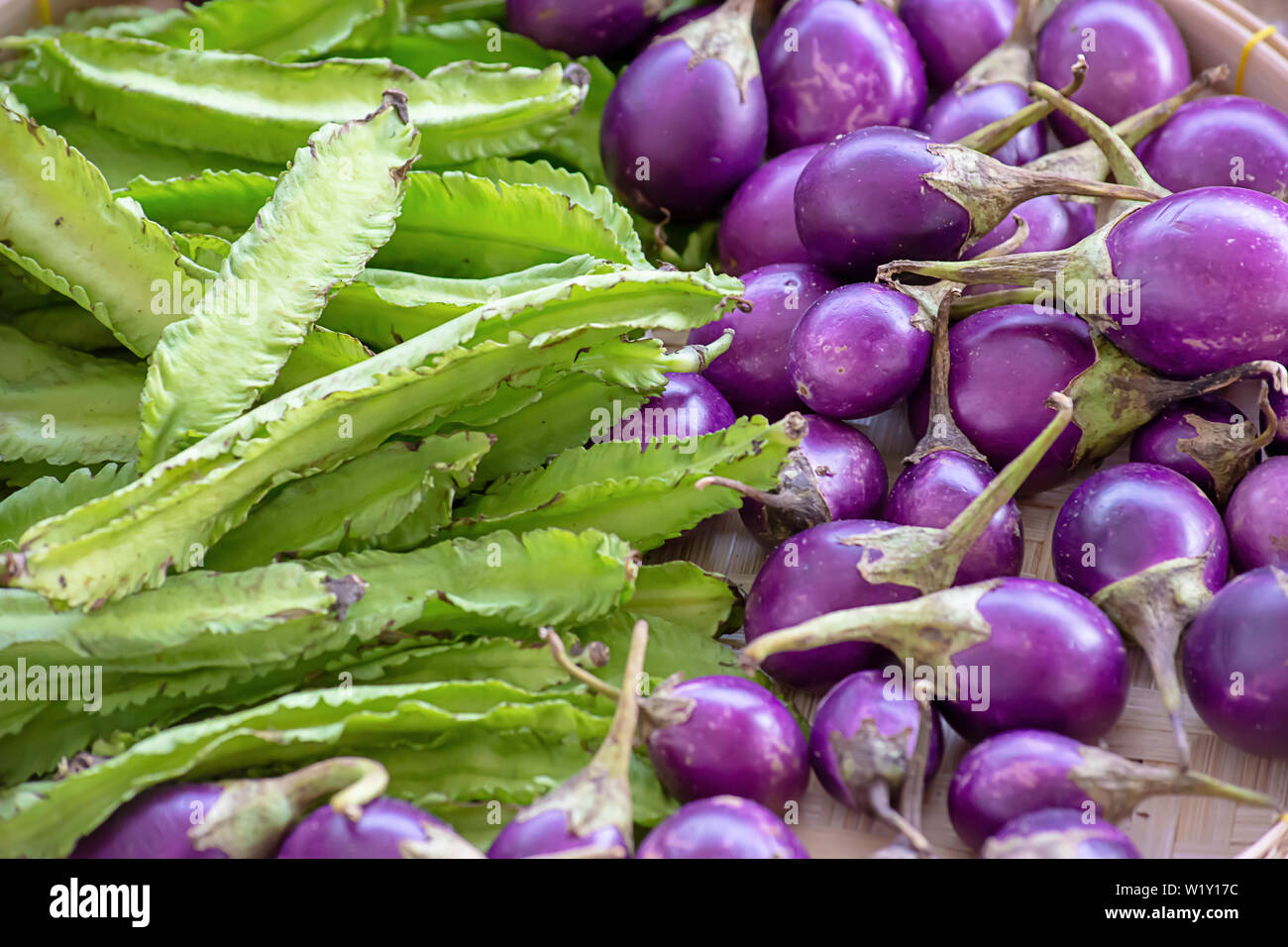 Winged bean plant hires stock photography and images Alamy