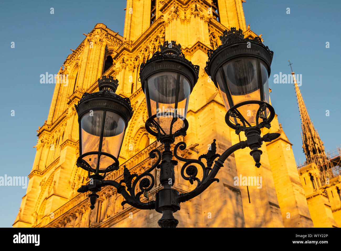 Lights in front of Notre Dame Cathedral with late in the afternoon