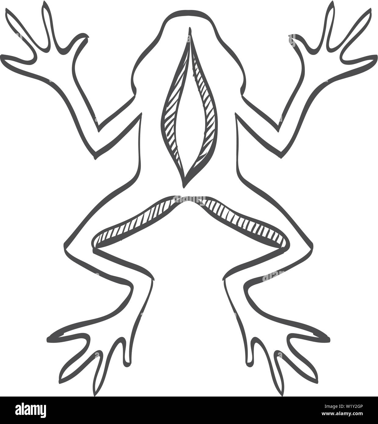 Lab frog icon in doodle sketch lines. School experiment biology lesson ...