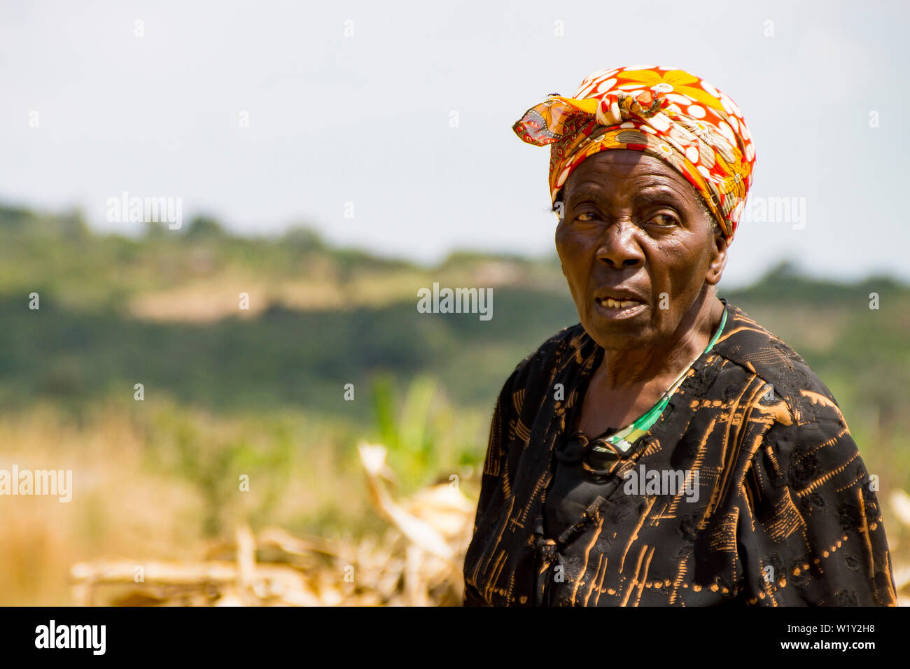Lone elderly female farmer in rural Malawi with colourful headscarf Stock Photo