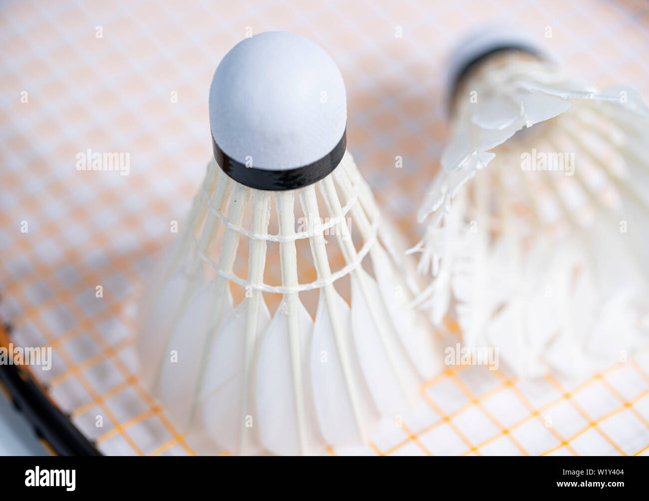 white badminton shuttlecocks lay on white table background Stock Photo